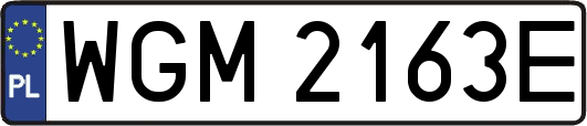 WGM2163E