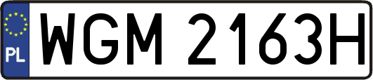 WGM2163H