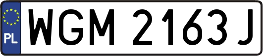 WGM2163J