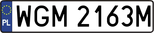 WGM2163M