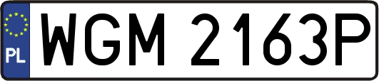 WGM2163P
