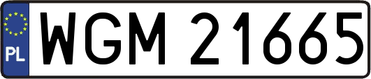 WGM21665
