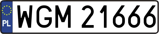 WGM21666