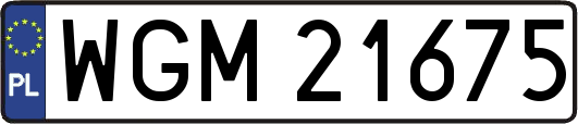 WGM21675