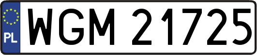 WGM21725