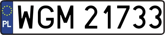 WGM21733