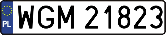 WGM21823