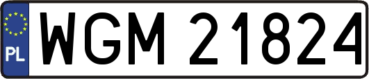 WGM21824
