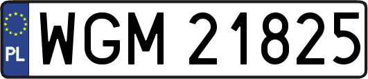 WGM21825