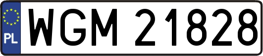 WGM21828