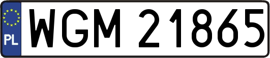 WGM21865