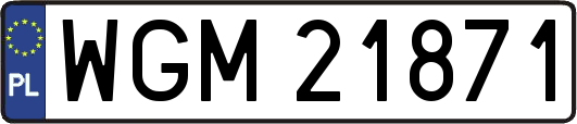 WGM21871