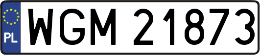 WGM21873