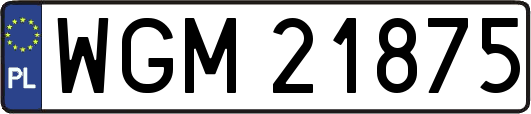 WGM21875