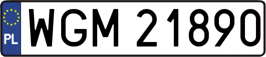 WGM21890
