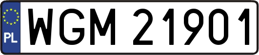 WGM21901
