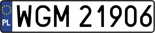 WGM21906