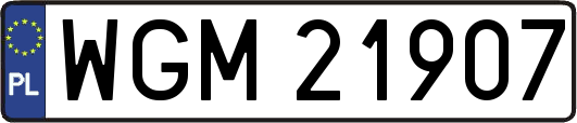 WGM21907