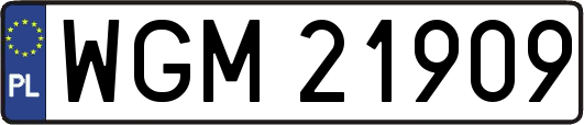 WGM21909