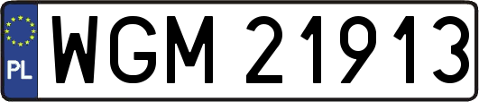 WGM21913