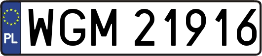 WGM21916