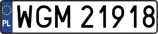 WGM21918