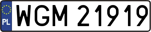 WGM21919