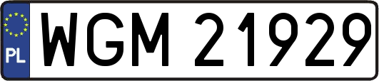 WGM21929