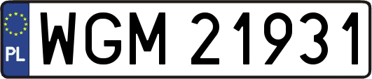 WGM21931