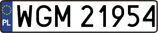 WGM21954