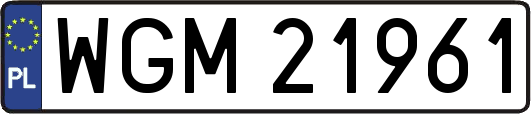 WGM21961