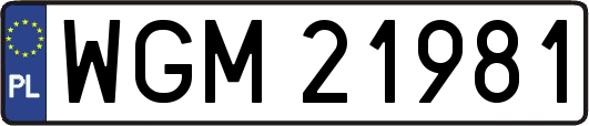 WGM21981