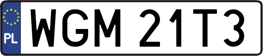 WGM21T3