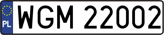 WGM22002
