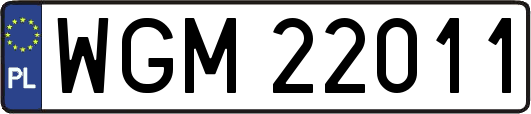 WGM22011