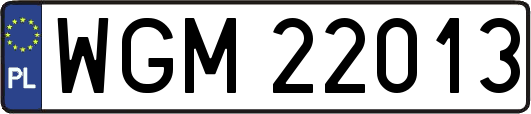 WGM22013