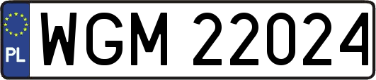 WGM22024