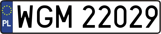WGM22029