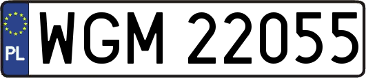 WGM22055