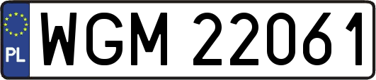 WGM22061