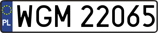 WGM22065