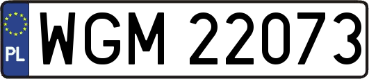 WGM22073