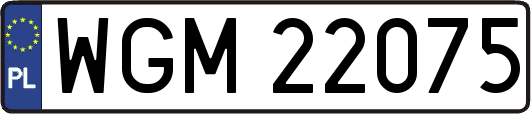 WGM22075