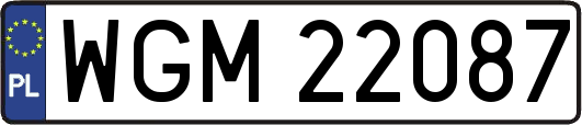 WGM22087