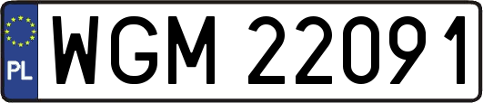 WGM22091