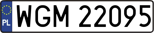 WGM22095