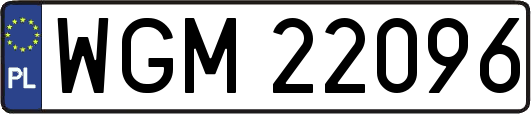 WGM22096