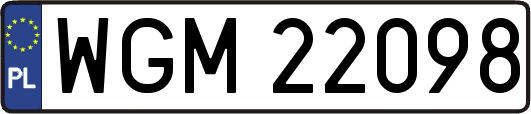 WGM22098