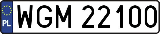 WGM22100
