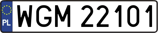 WGM22101